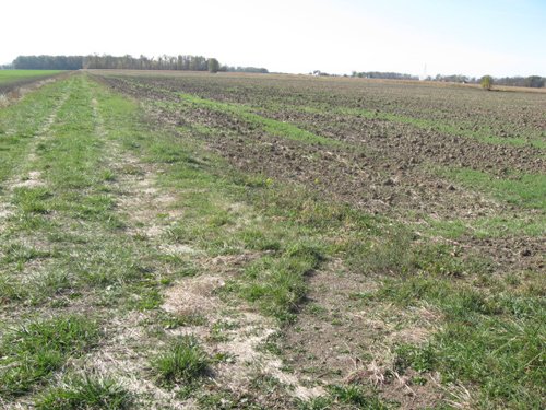 Property photo 2 - 60 Acres Productive Tillable Land